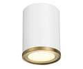 Z-LITE, ARLO FLUSH MOUNT, FLUSH MOUNT CEILING LIGHTS 