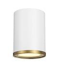 Z-LITE, ARLO FLUSH MOUNT, FLUSH MOUNT CEILING LIGHTS