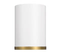 Z-LITE, ARLO FLUSH MOUNT, FLUSH MOUNT CEILING LIGHTS