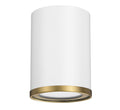Z-LITE, ARLO FLUSH MOUNT, FLUSH MOUNT CEILING LIGHTS 