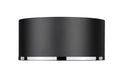Z-LITE, ARLO FLUSH MOUNT, FLUSH MOUNT CEILING LIGHTS