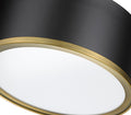 Z-LITE, ARLO FLUSH MOUNT, FLUSH MOUNT CEILING LIGHTS