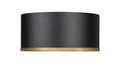 Z-LITE, ARLO FLUSH MOUNT, FLUSH MOUNT CEILING LIGHTS