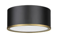 Z-LITE, ARLO FLUSH MOUNT, FLUSH MOUNT CEILING LIGHTS