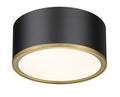 Z-LITE, ARLO FLUSH MOUNT, FLUSH MOUNT CEILING LIGHTS 