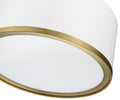 Z-LITE, ARLO FLUSH MOUNT, FLUSH MOUNT CEILING LIGHTS