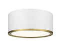 Z-LITE, ARLO FLUSH MOUNT, FLUSH MOUNT CEILING LIGHTS
