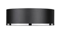 Z-LITE, ARLO FLUSH MOUNT, FLUSH MOUNT CEILING LIGHTS