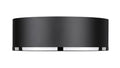 Z-LITE, ARLO FLUSH MOUNT, FLUSH MOUNT CEILING LIGHTS 
