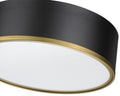 Z-LITE, ARLO FLUSH MOUNT, FLUSH MOUNT CEILING LIGHTS