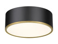 Z-LITE, ARLO FLUSH MOUNT, FLUSH MOUNT CEILING LIGHTS