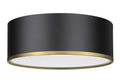 Z-LITE, ARLO FLUSH MOUNT, FLUSH MOUNT CEILING LIGHTS