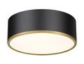 Z-LITE, ARLO FLUSH MOUNT, FLUSH MOUNT CEILING LIGHTS 