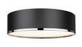 Z-LITE, ARLO FLUSH MOUNT, FLUSH MOUNT CEILING LIGHTS 
