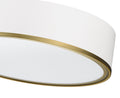 Z-LITE, ARLO FLUSH MOUNT, FLUSH MOUNT CEILING LIGHTS