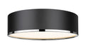 Z-LITE, ARLO FLUSH MOUNT, FLUSH MOUNT CEILING LIGHTS