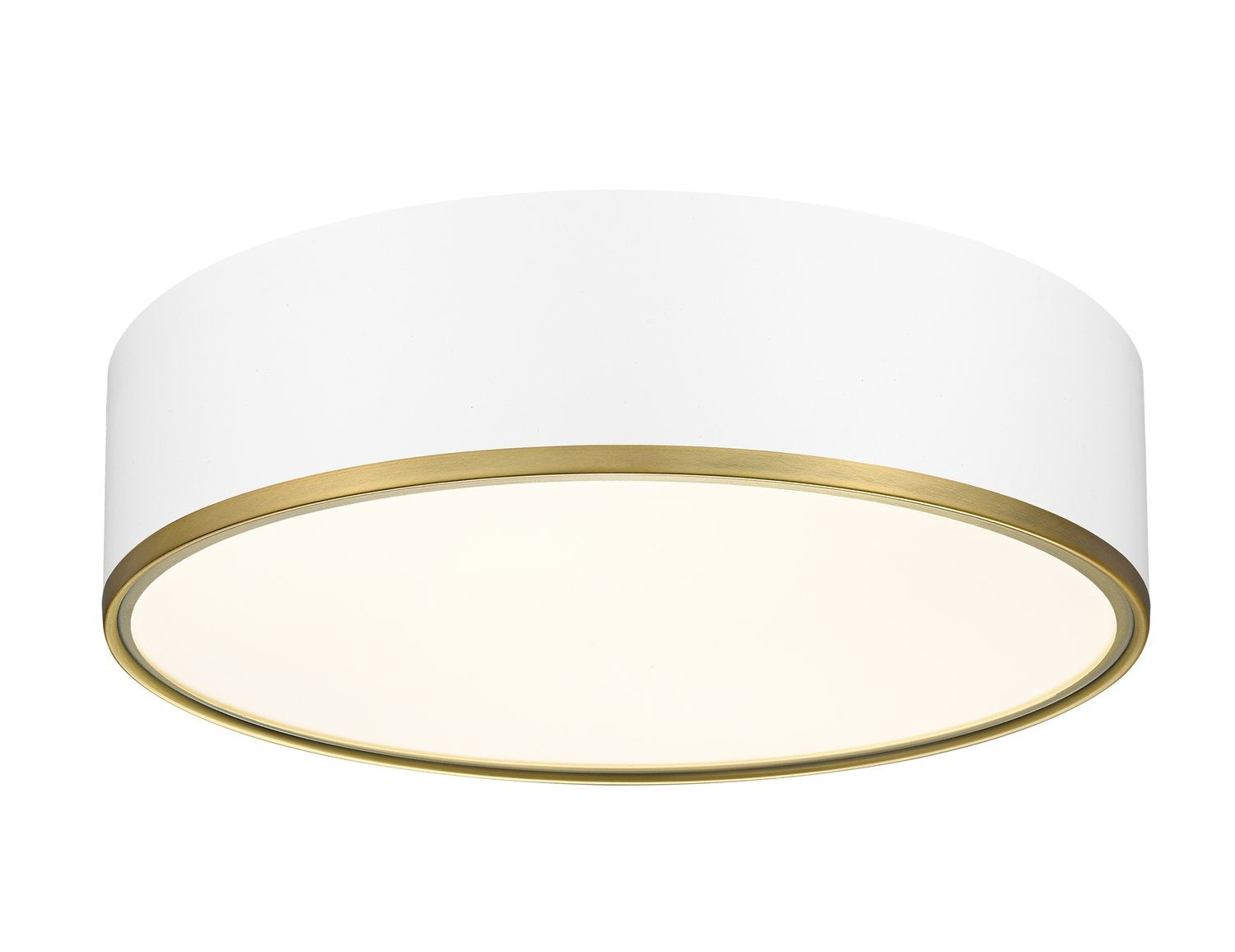 Z-LITE, ARLO FLUSH MOUNT, FLUSH MOUNT CEILING LIGHTS 
