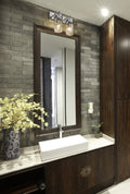 Z-LITE, FONTAINE VANITY, VANITY LIGHT