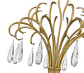 Z-LITE, AMARA CHANDELIER, CHANDELIER LIGHT