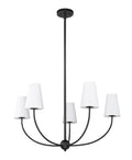 Z-LITE, SHANNON CHANDELIER, CHANDELIER LIGHT