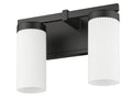 Z-LITE, DANICA VANITY, VANITY LIGHT