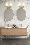 Z-LITE, DANICA VANITY, VANITY LIGHT