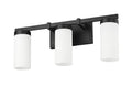 Z-LITE, DANICA VANITY, VANITY LIGHT