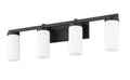 Z-LITE, DANICA VANITY, VANITY LIGHT