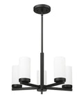 Z-LITE, DANICA CHANDELIER, CHANDELIER LIGHT