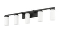 Z-LITE, DANICA VANITY, VANITY LIGHT