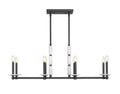 Z-LITE, KADEN LINEAR CHANDELIER, LINEAR LIGHT