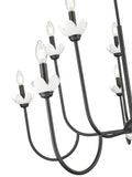 Z-LITE, ALLISTAIR CHANDELIER, CHANDELIER LIGHT