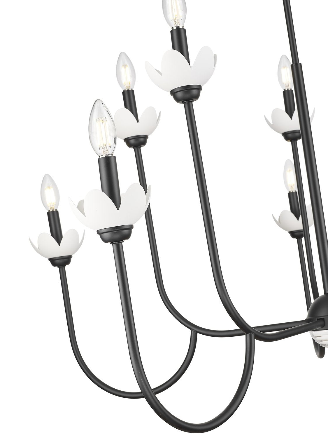 Z-LITE, ALLISTAIR CHANDELIER, CHANDELIER LIGHT
