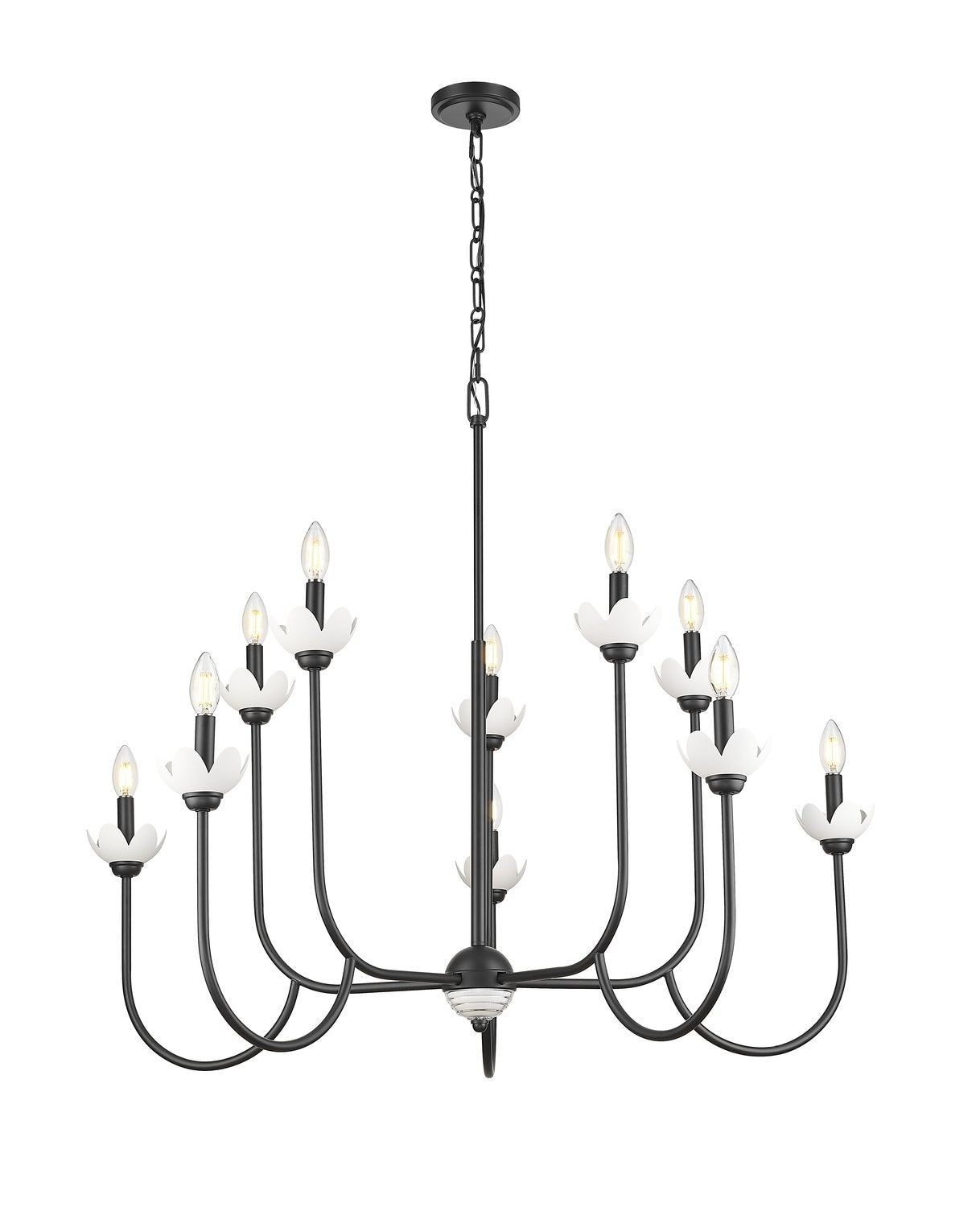Z-LITE, ALLISTAIR CHANDELIER, CHANDELIER LIGHT