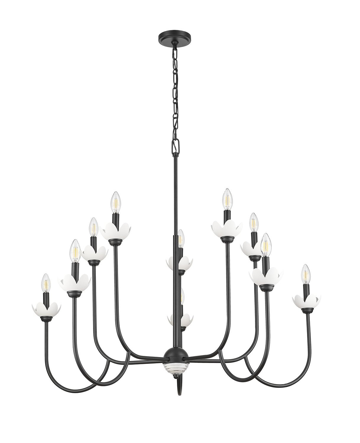 Z-LITE, ALLISTAIR CHANDELIER, CHANDELIER LIGHT