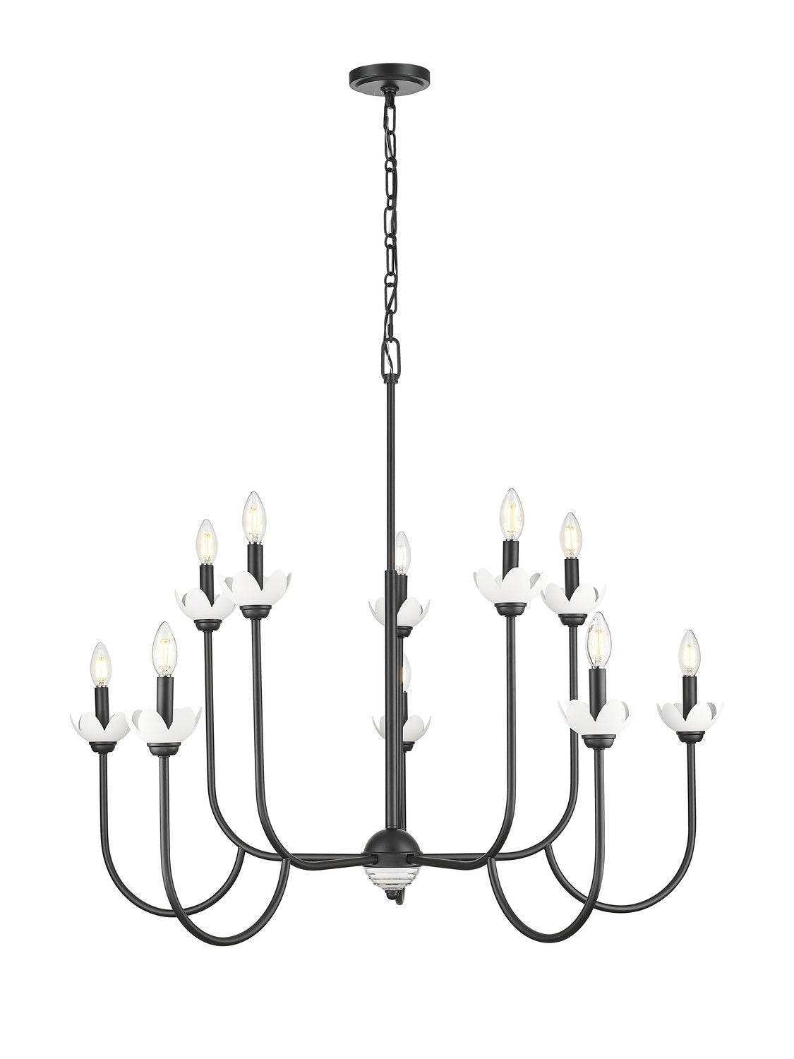 Z-LITE, ALLISTAIR CHANDELIER, CHANDELIER LIGHT