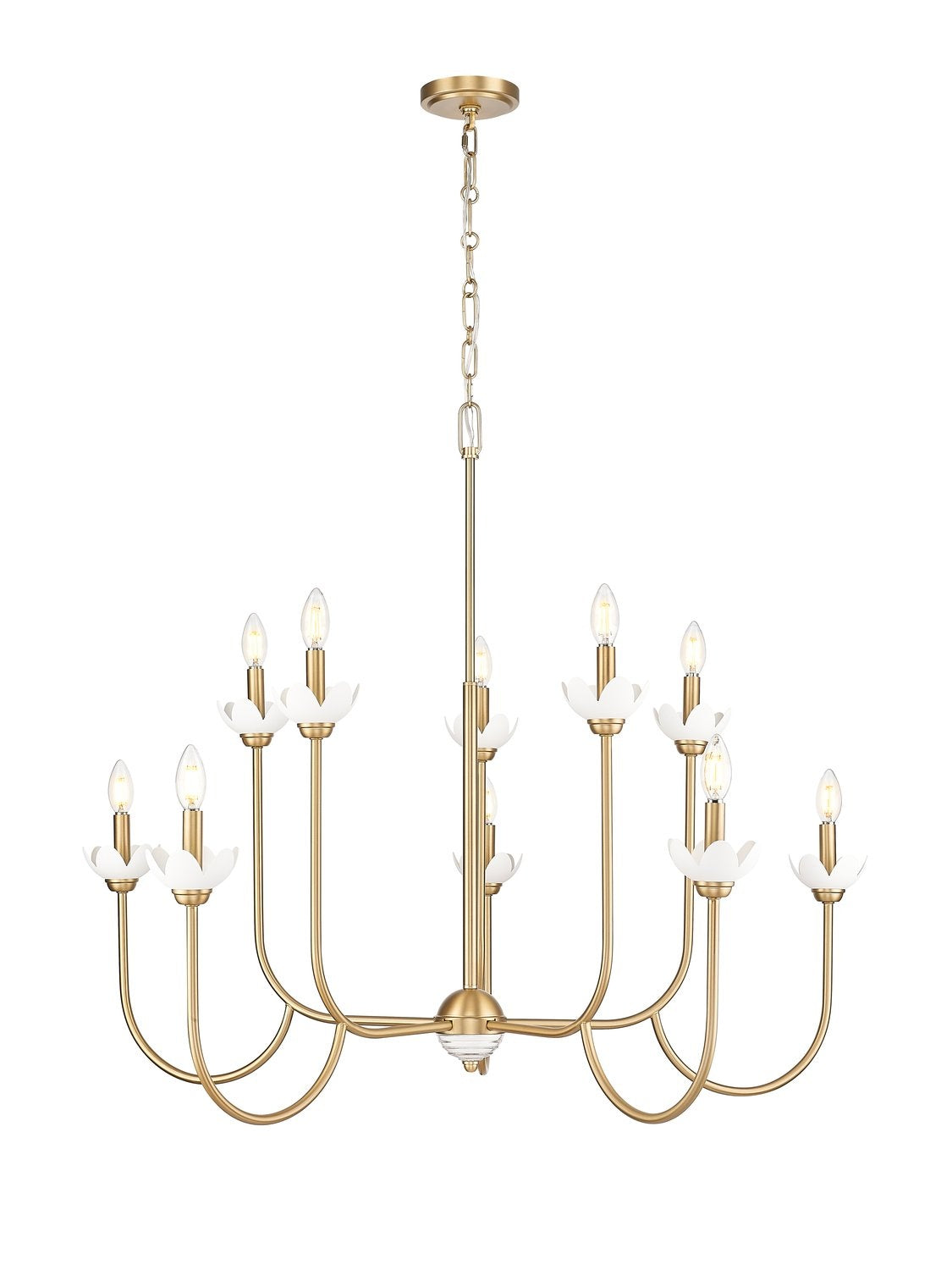Z-LITE, ALLISTAIR CHANDELIER, CHANDELIER LIGHT