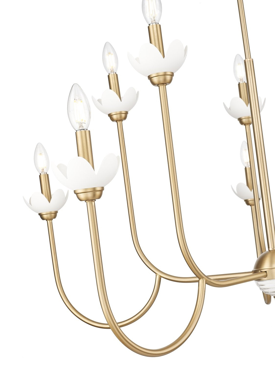 Z-LITE, ALLISTAIR CHANDELIER, CHANDELIER LIGHT