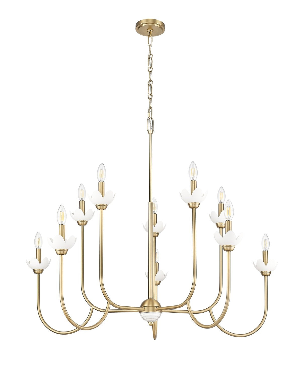 Z-LITE, ALLISTAIR CHANDELIER, CHANDELIER LIGHT