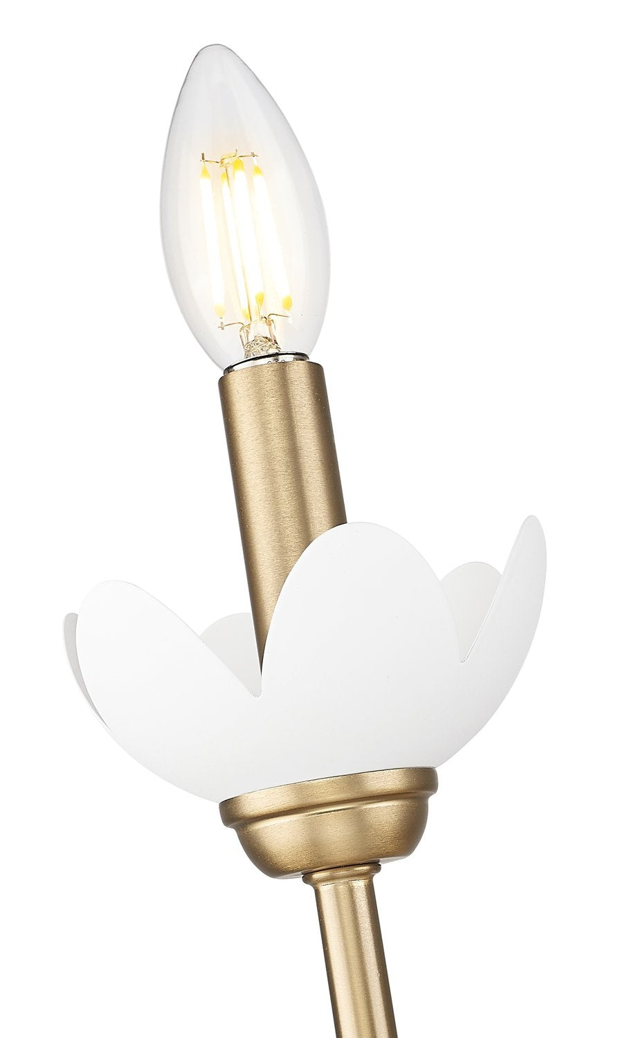 Z-LITE, ALLISTAIR WALL SCONCE, WALL SCONCES