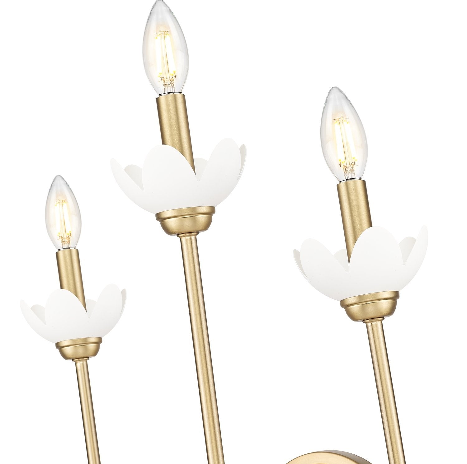 Z-LITE, ALLISTAIR WALL SCONCE, WALL SCONCES