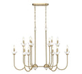 Z-LITE, ALLISTAIR LINEAR CHANDELIER, LINEAR LIGHT