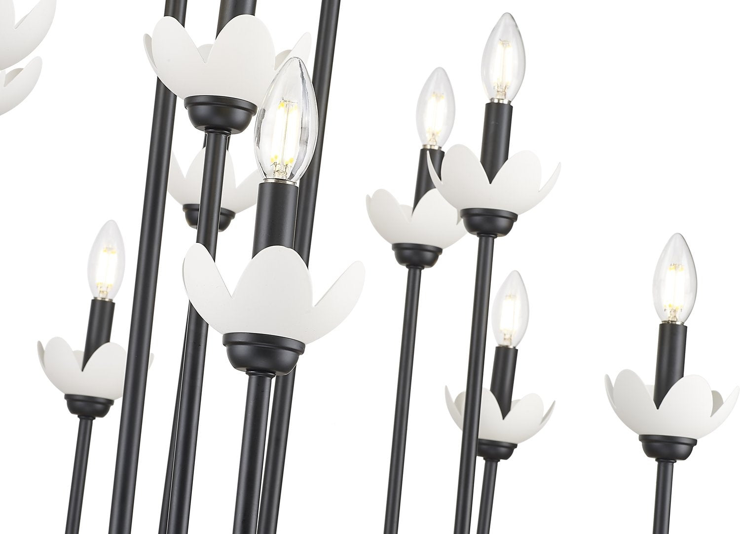 Z-LITE, ALLISTAIR LINEAR CHANDELIER, LINEAR LIGHT