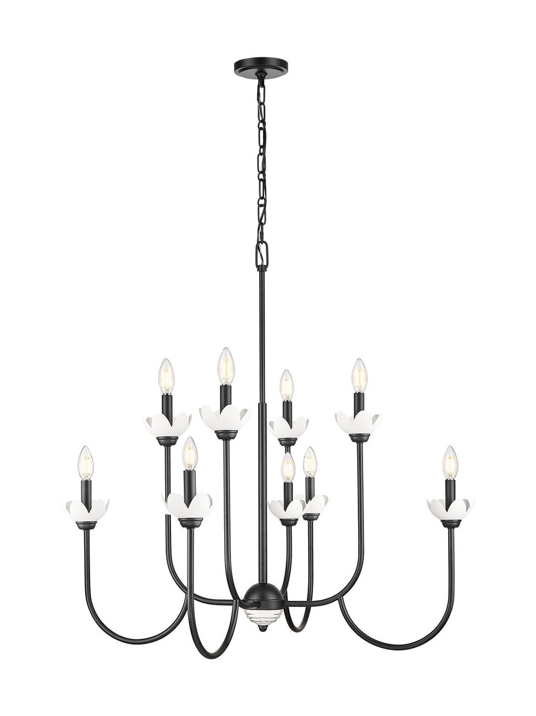 Z-LITE, ALLISTAIR CHANDELIER, CHANDELIER LIGHT