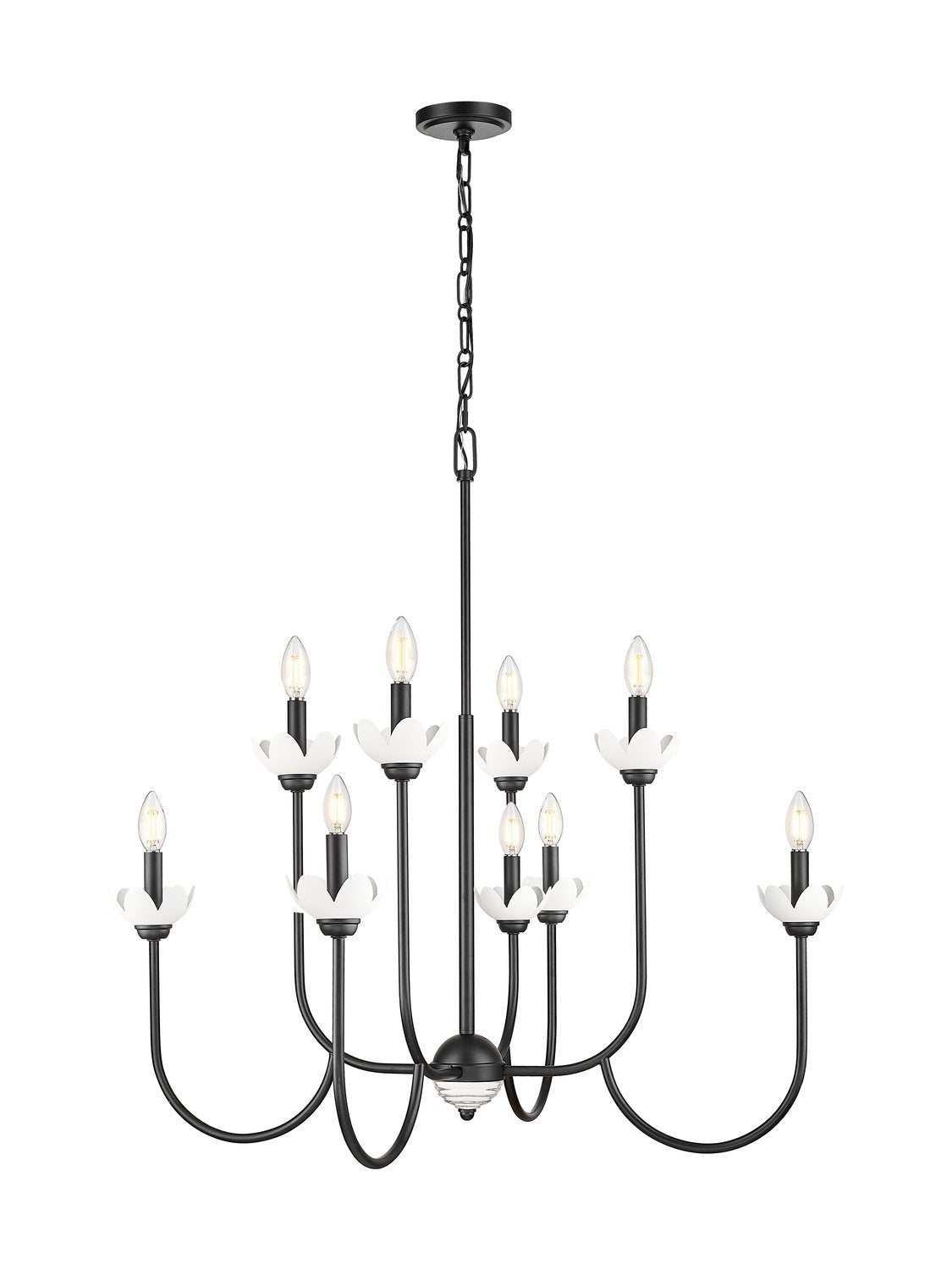 Z-LITE, ALLISTAIR CHANDELIER, CHANDELIER LIGHT