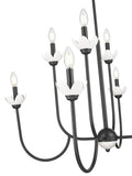 Z-LITE, ALLISTAIR CHANDELIER, CHANDELIER LIGHT
