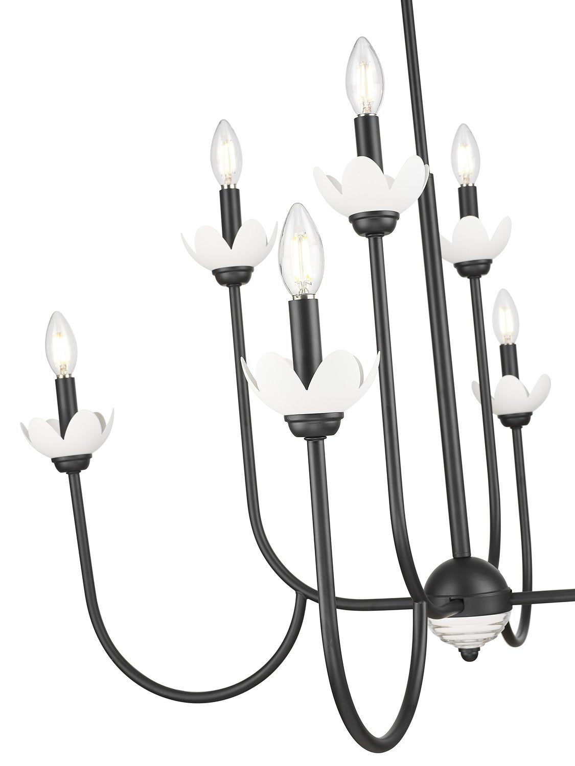 Z-LITE, ALLISTAIR CHANDELIER, CHANDELIER LIGHT