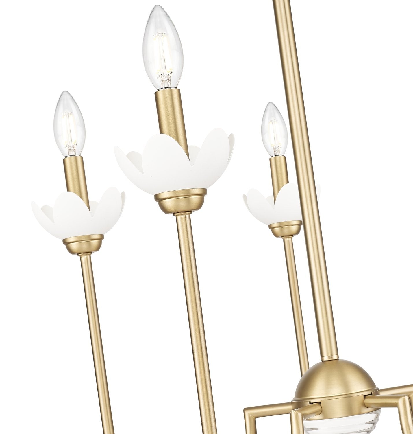 Z-LITE, ALLISTAIR CHANDELIER, CHANDELIER LIGHT