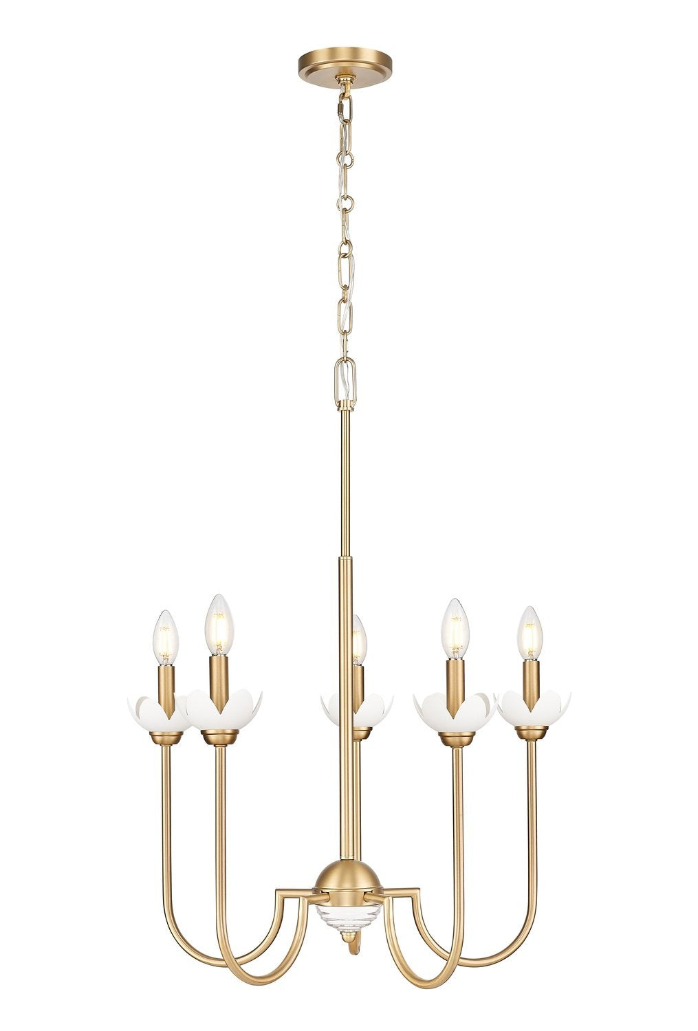Z-LITE, ALLISTAIR CHANDELIER, CHANDELIER LIGHT