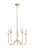 Z-LITE, ALLISTAIR CHANDELIER, CHANDELIER LIGHT